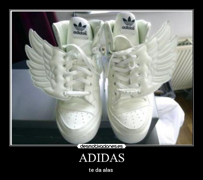 ADIDAS - 
