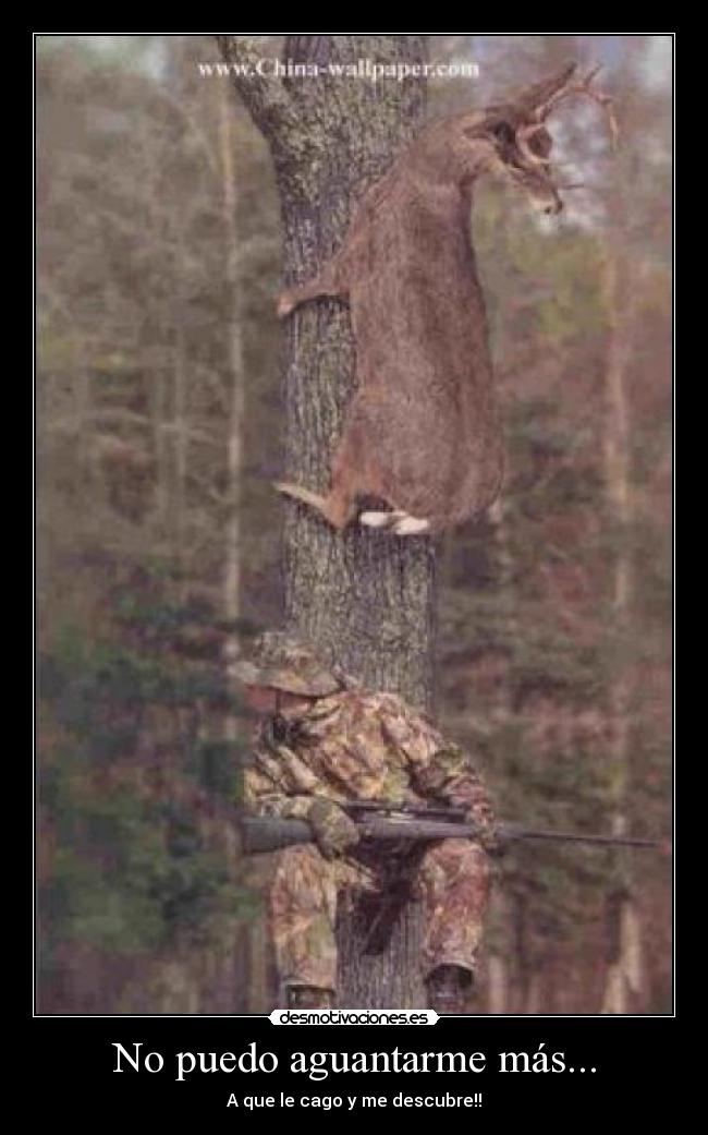 No puedo aguantarme más... - A que le cago y me descubre!!