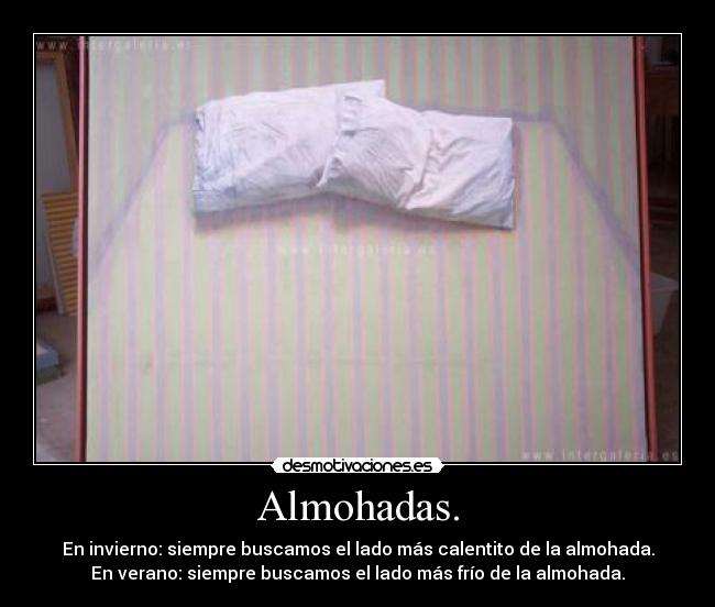 Almohadas. - 