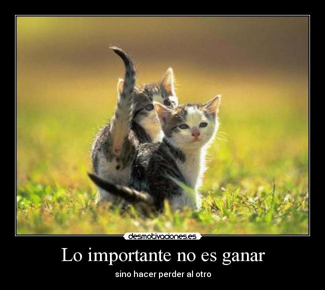 Lo importante no es ganar -