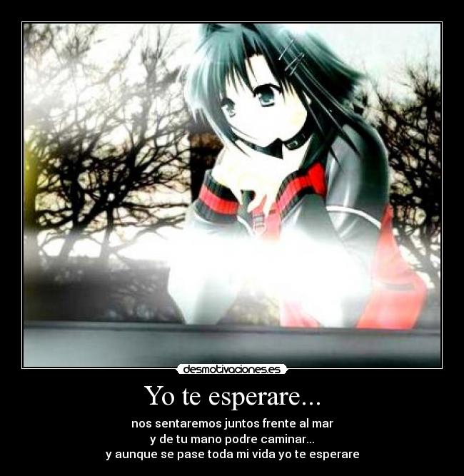 Yo te esperare... -