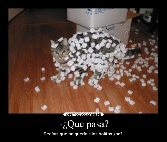 -¿Que pasa? - 