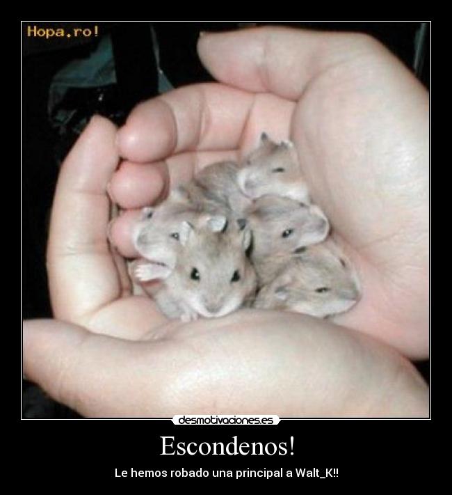 Escondenos! - 