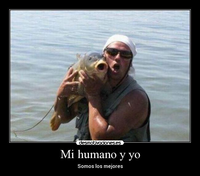 Mi humano y yo -