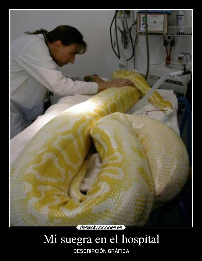 Mi suegra en el hospital -