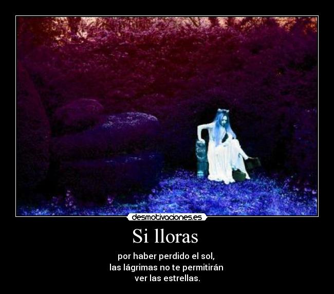 Si lloras - por haber perdido el sol,
las lágrimas no te permitirán
ver las estrellas.