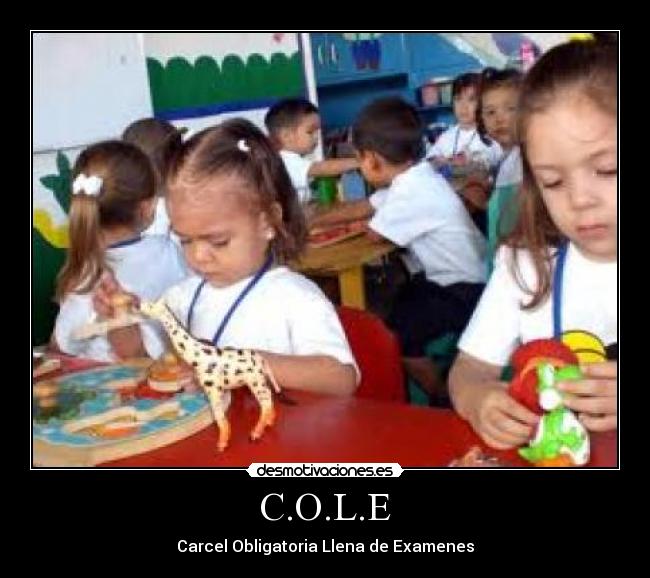 C.O.L.E - 