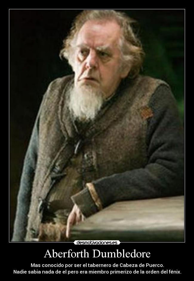 carteles harry potter desmotivaciones