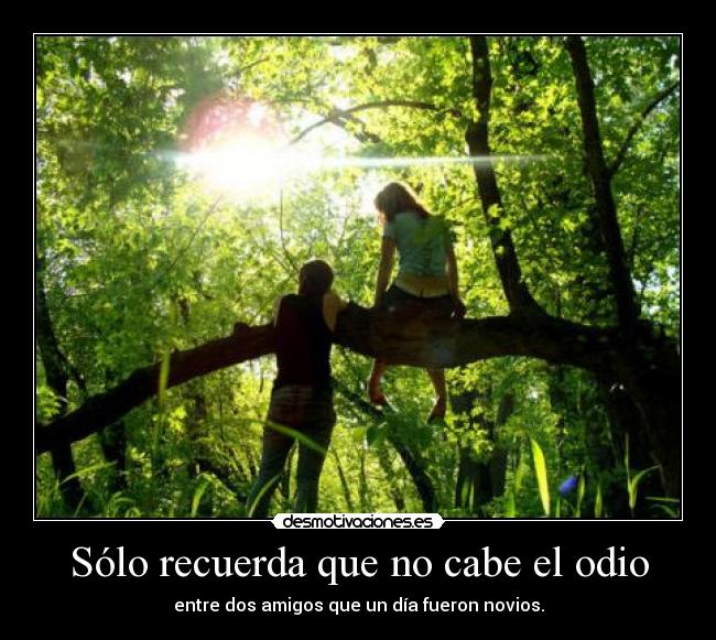 Sólo recuerda que no cabe el odio -