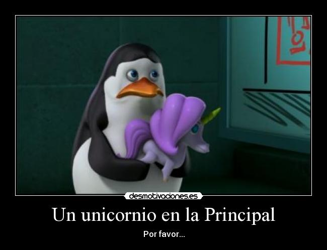 Un unicornio en la Principal - 