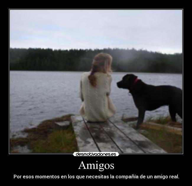 Amigos - Por esos momentos en los que necesitas la compañía de un amigo real.
