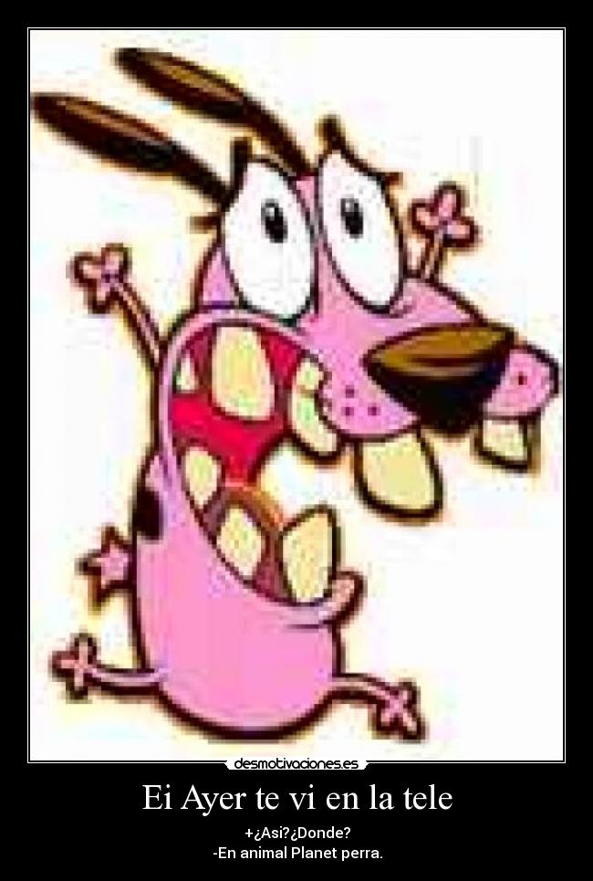 Ei Ayer te vi en la tele - +¿Asi?¿Donde?
-En animal Planet perra.