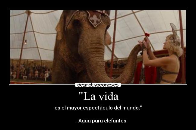 La vida - es el mayor espectáculo del mundo.
-Agua para elefantes-