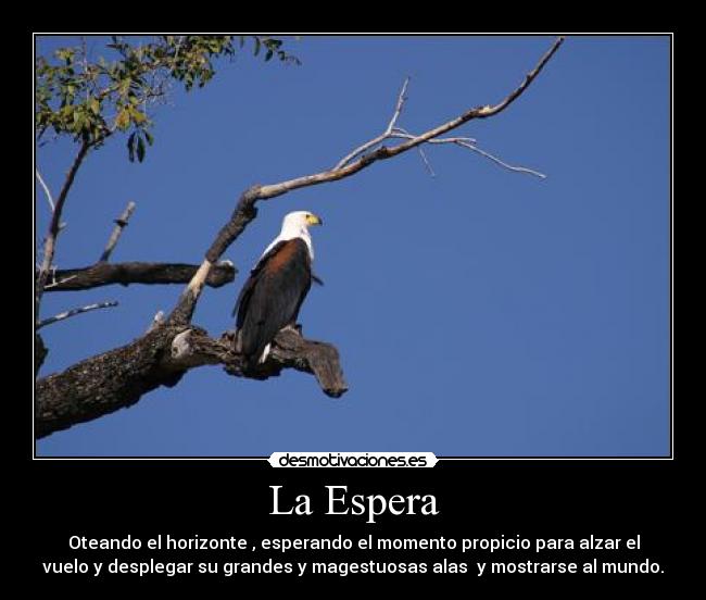 La Espera -