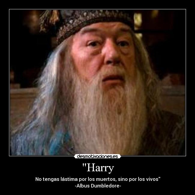Harry - 