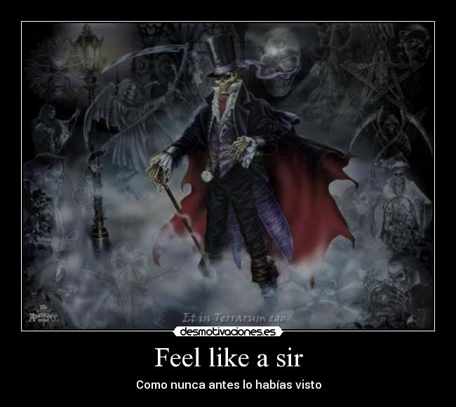 Feel like a sir - 