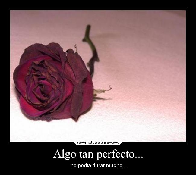 Algo tan perfecto... - no podía durar mucho...