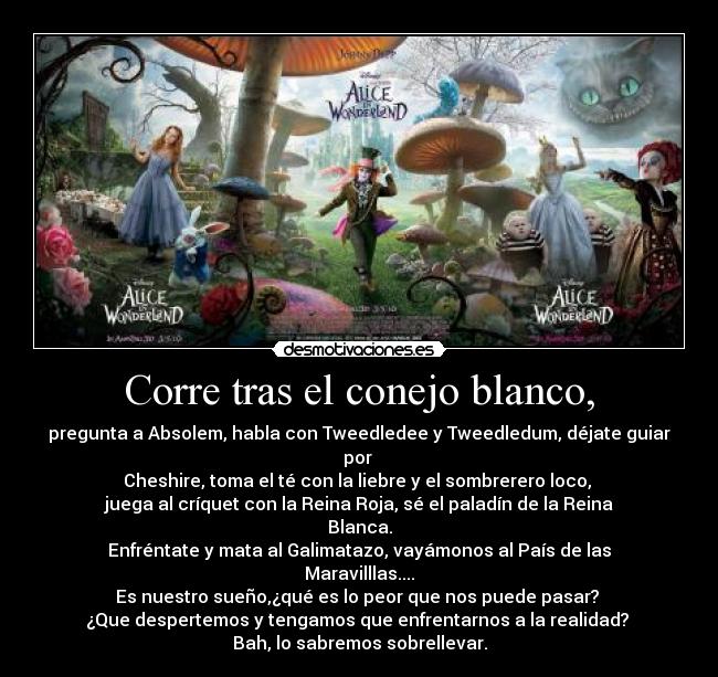 Corre tras el conejo blanco, -