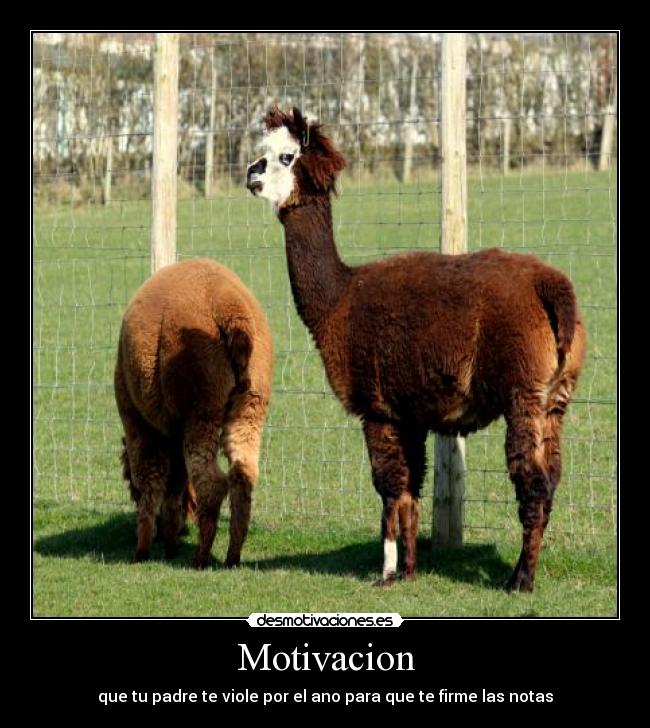 Motivacion - que tu padre te viole por el ano para que te firme las notas