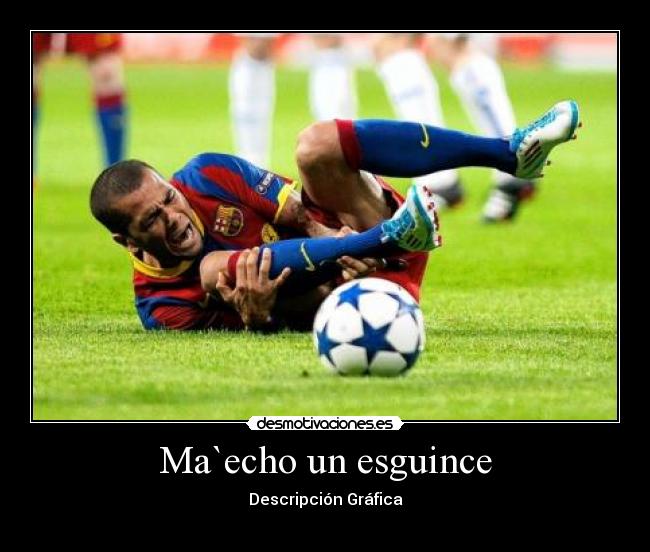 carteles ma`echo esguice desmotivaciones