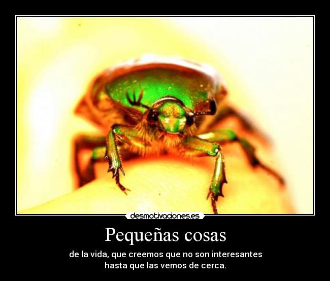 Pequeñas cosas - 