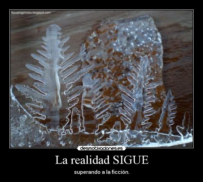 carteles verano desmotivaciones