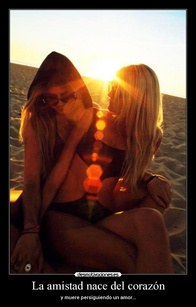 La amistad nace del corazón - 