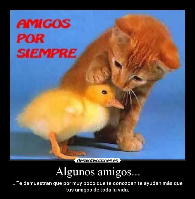 Algunos amigos... - 