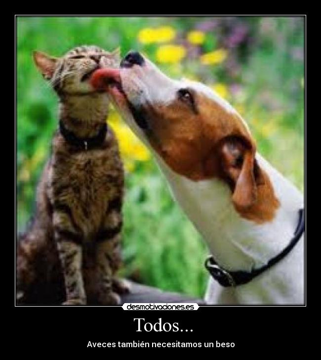 Todos... - Aveces también necesitamos un beso