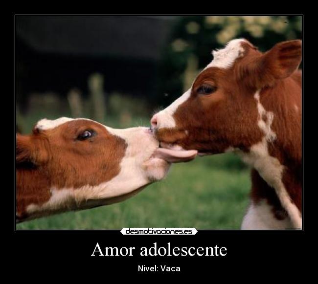 Amor adolescente - 