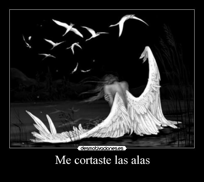 Me cortaste las alas -