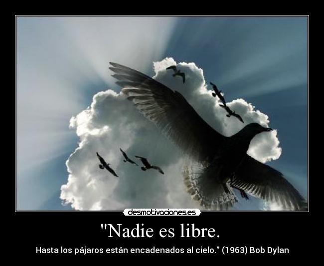 Nadie es libre. -