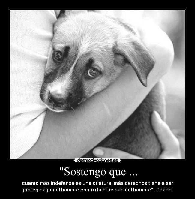 Sostengo que ... - cuanto más indefensa es una criatura, más derechos tiene a ser
protegida por el hombre contra la crueldad del hombre -Ghandi