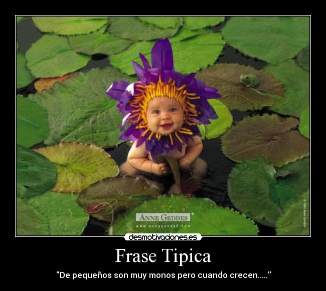 Frase Tipica -