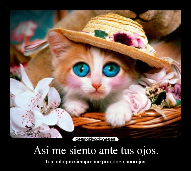 Así me siento ante tus ojos. - Tus halagos siempre me producen sonrojos.