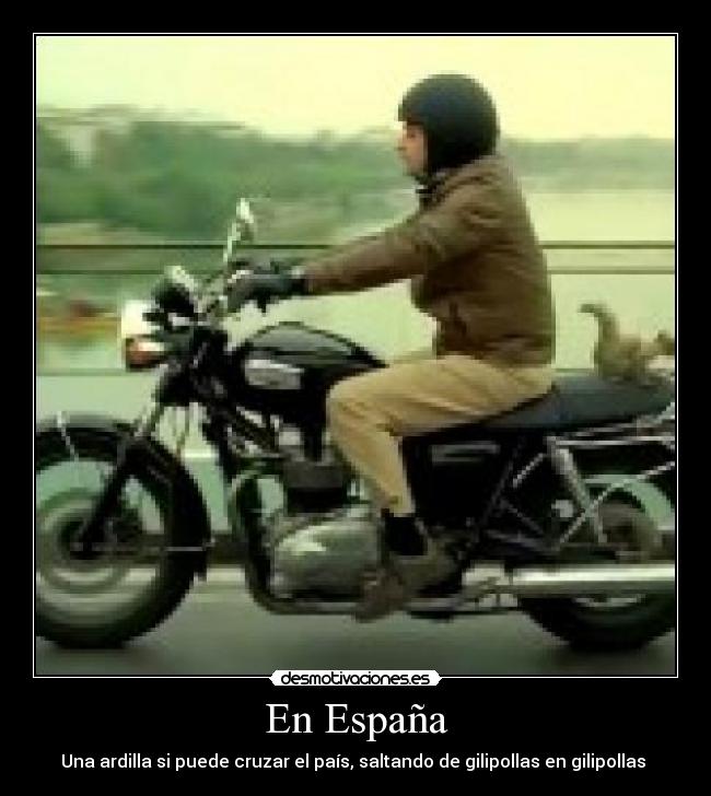 En España - Una ardilla si puede cruzar el país, saltando de gilipollas en gilipollas