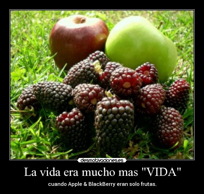 La vida era mucho mas VIDA - 