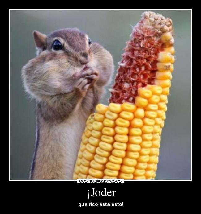 ¡Joder -