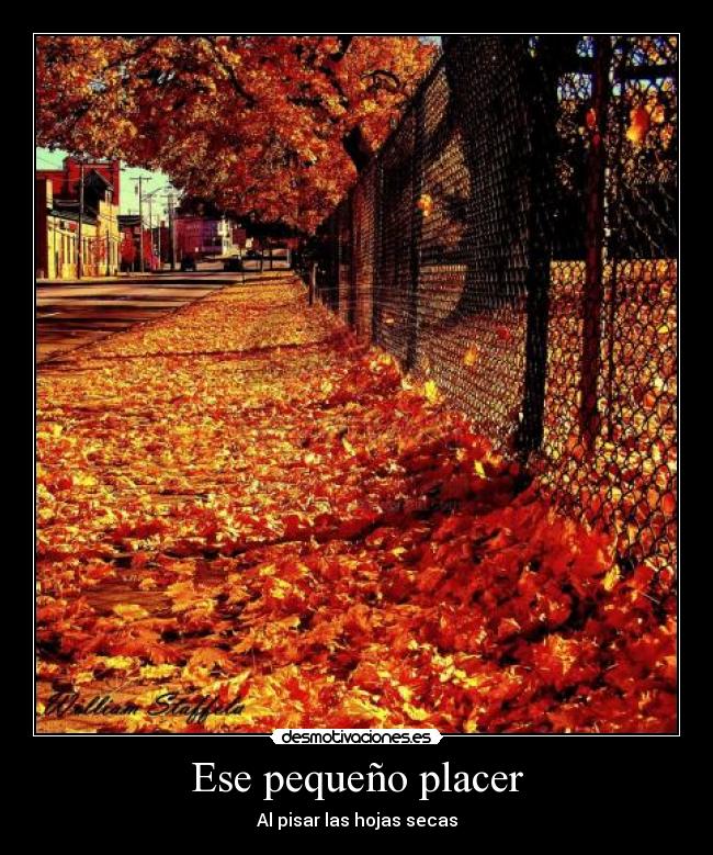 Ese pequeño placer -