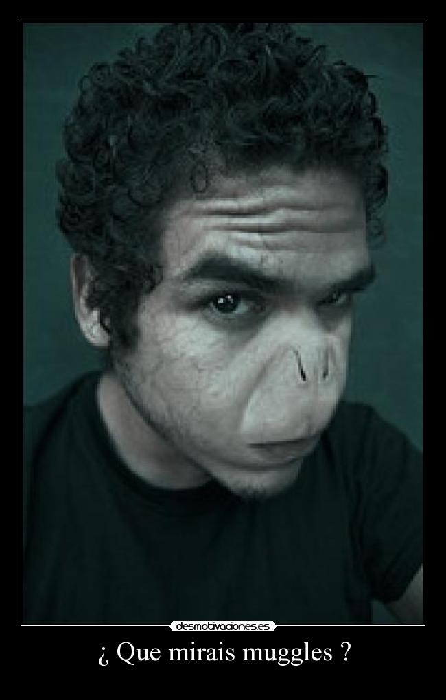 ¿ Que mirais muggles ? - 