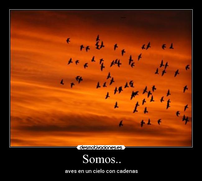 Somos.. - aves en un cielo con cadenas
