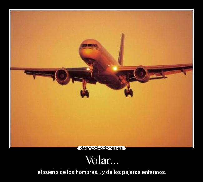 Volar... - el sueño de los hombres... y de los pajaros enfermos.