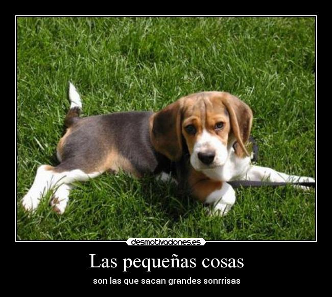 Las pequeñas cosas - 