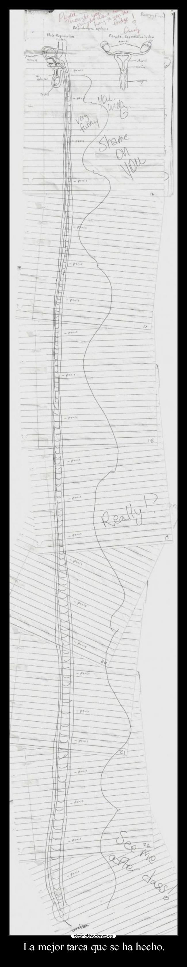 La mejor tarea que se ha hecho. -