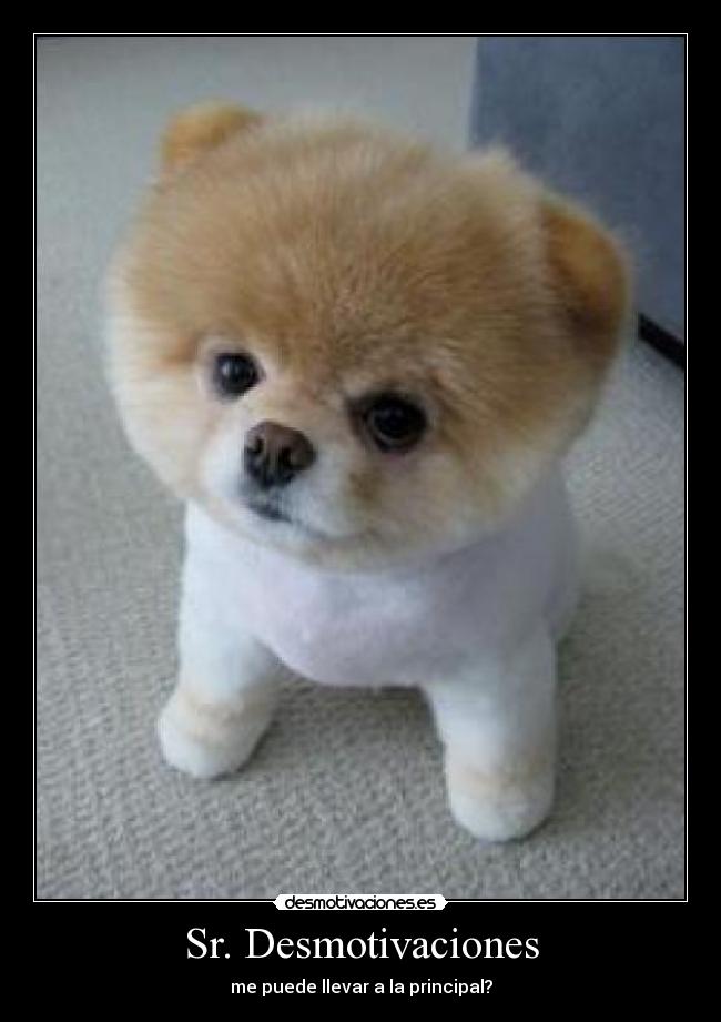 Sr. Desmotivaciones - me puede llevar a la principal?