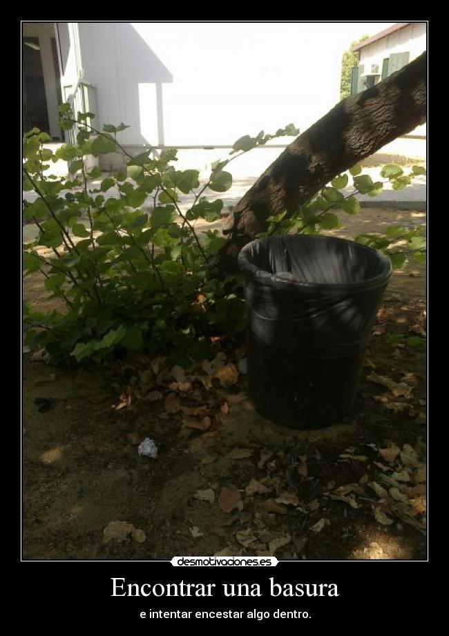 carteles encestar desmotivaciones