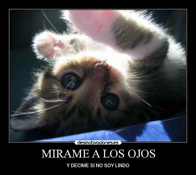 MIRAME A LOS OJOS -
