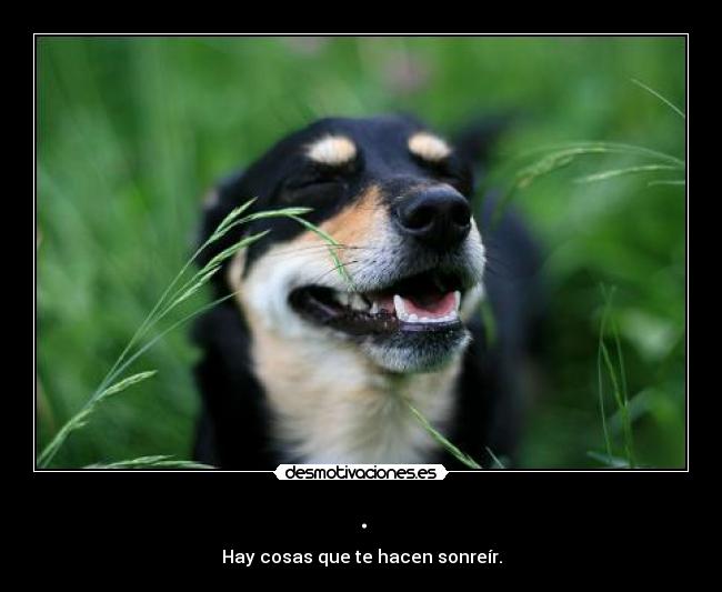 . - Hay cosas que te hacen sonreír.