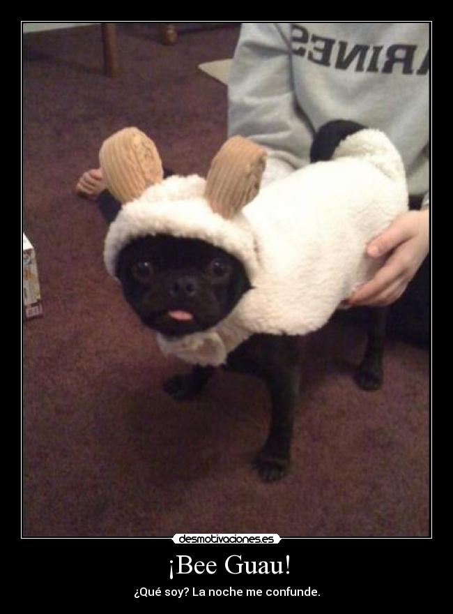 ¡Bee Guau! -