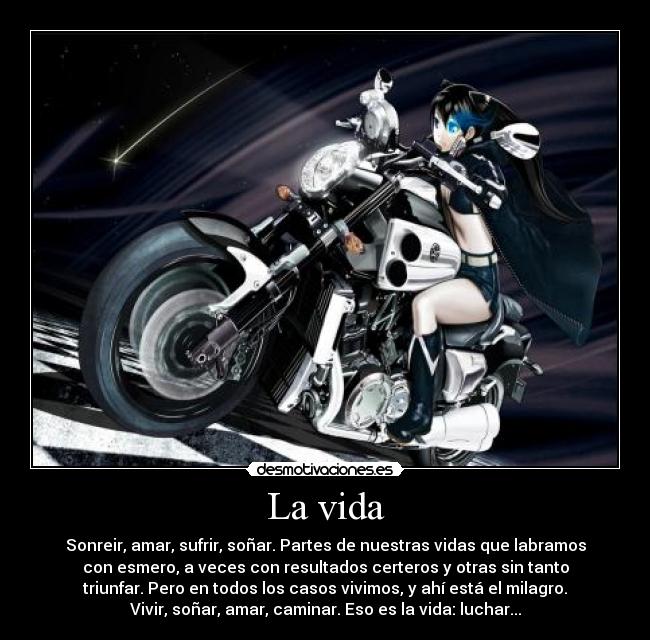 La vida - Sonreir, amar, sufrir, soñar. Partes de nuestras vidas que labramos
con esmero, a veces con resultados certeros y otras sin tanto
triunfar. Pero en todos los casos vivimos, y ahí está el milagro.
Vivir, soñar, amar, caminar. Eso es la vida: luchar...